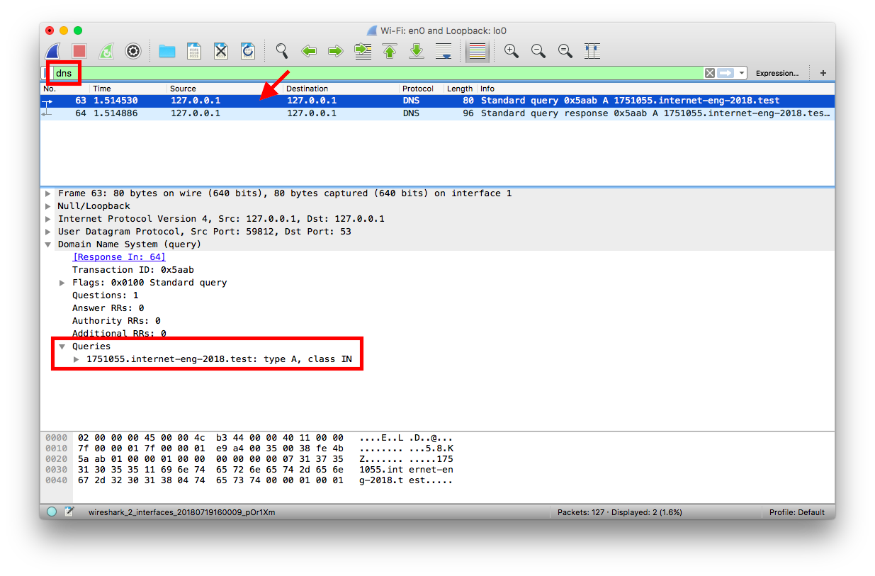 DNS request packet on Wireshark
