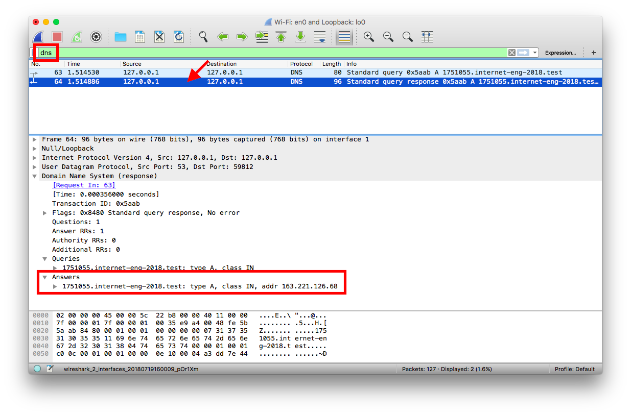 DNS response packet on Wireshark